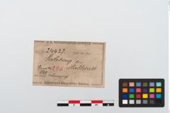 Etikett zu Bronzearmreif (NHMW-PRAE-024427)